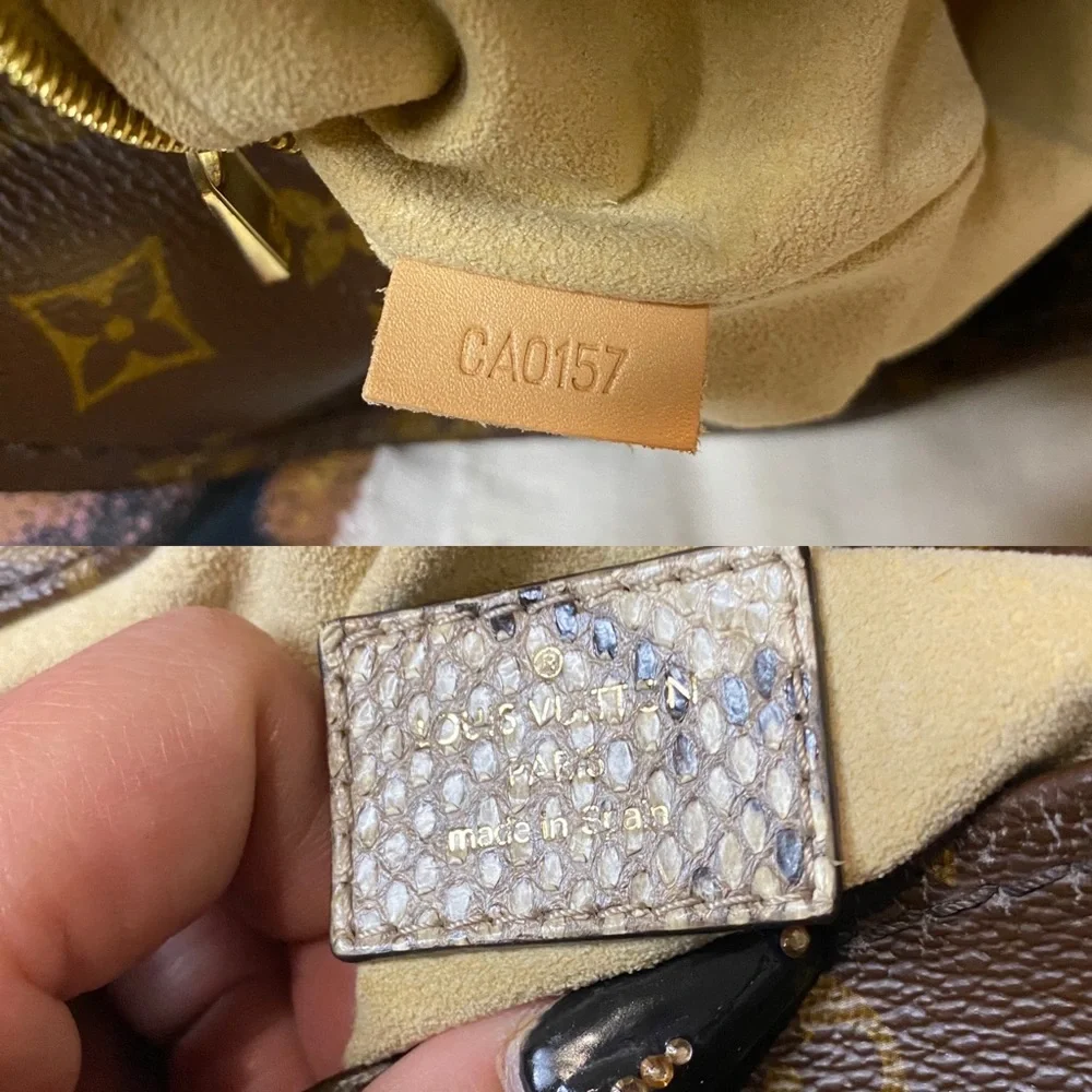 🦄✨RARE Louis Vuitton Artsy MM Python handle Exotique